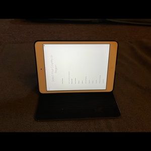 iPad mini gen 1 with case